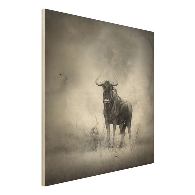Holzbild - Staring Wildebeest - Quadrat 1:1
