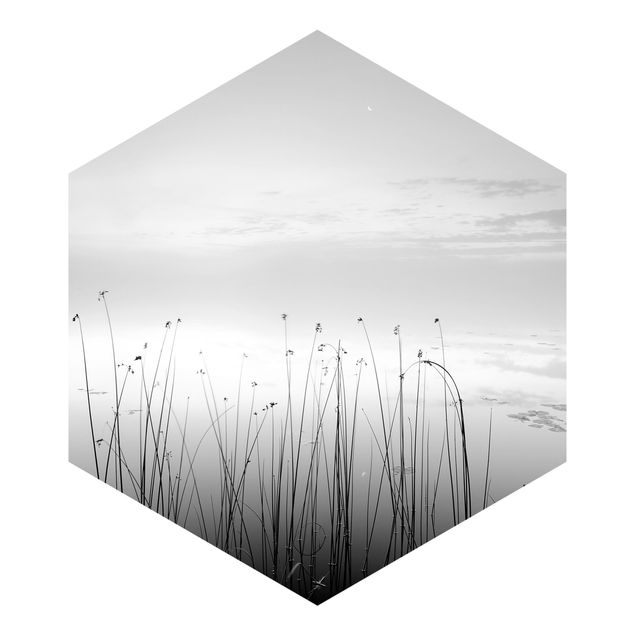 Hexagon Mustertapete selbstklebend - Idylle am See Schwarz-Weiß