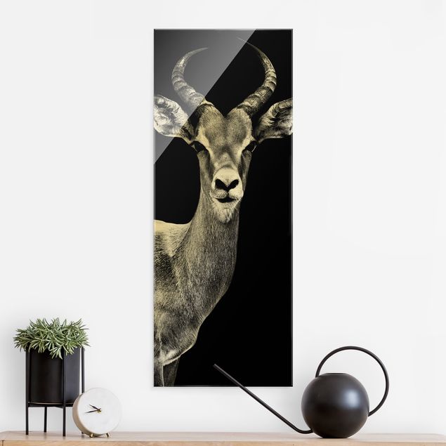 Magnettafel Glas Impala Antilope schwarz-weiß