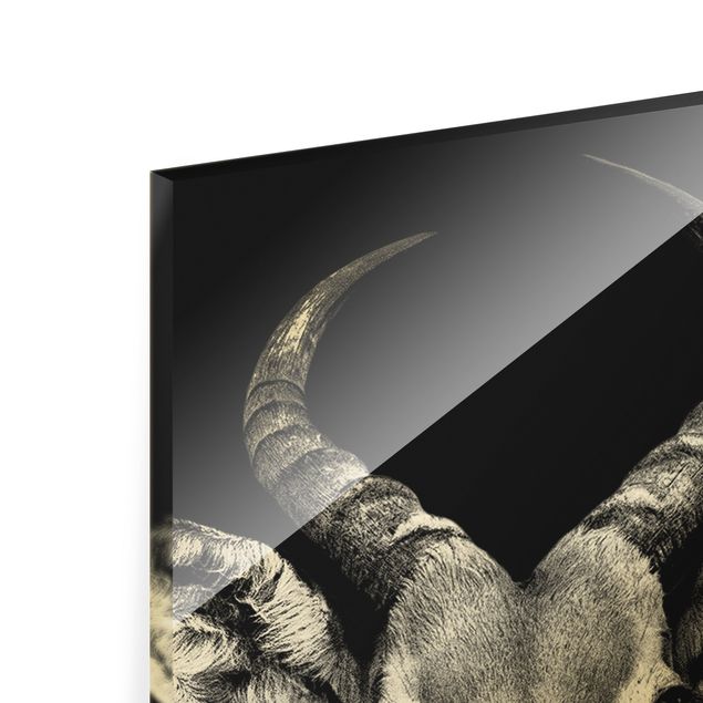 Glasbild - Impala Antilope schwarz-weiß - Hochformat 2:5