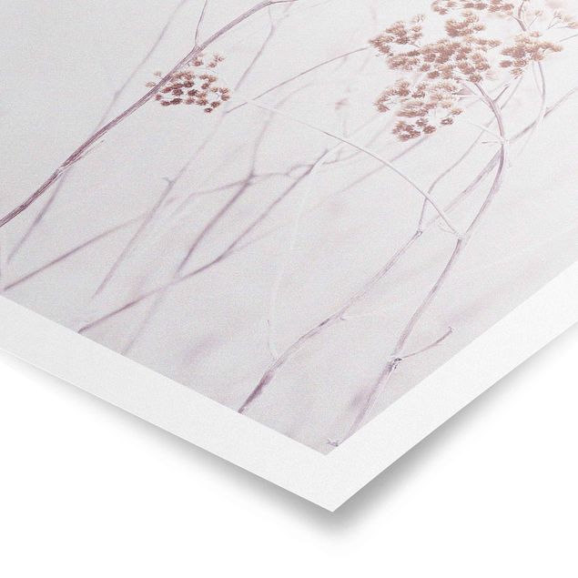 Poster - Isländische Wildblumen - Quadrat 1:1