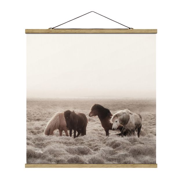 Stoffbild mit Posterleisten - Island Wildpferde - Quadrat 1:1