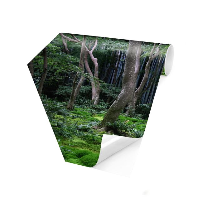 Hexagon Mustertapete selbstklebend - Japanischer Wald