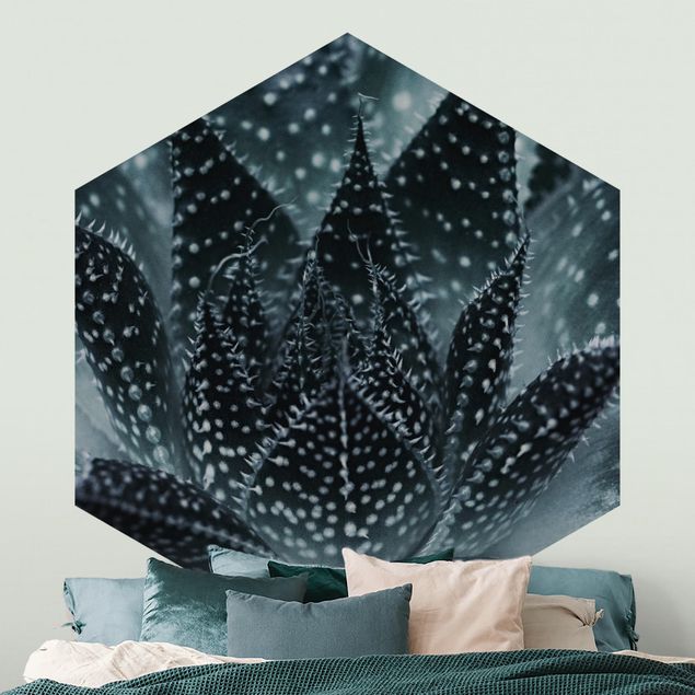 Hexagon Mustertapete selbstklebend - Kaktus mit Sternpunkten bei Nacht