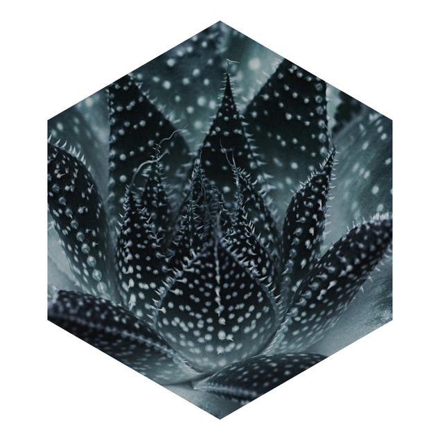 Hexagon Mustertapete selbstklebend - Kaktus mit Sternpunkten bei Nacht