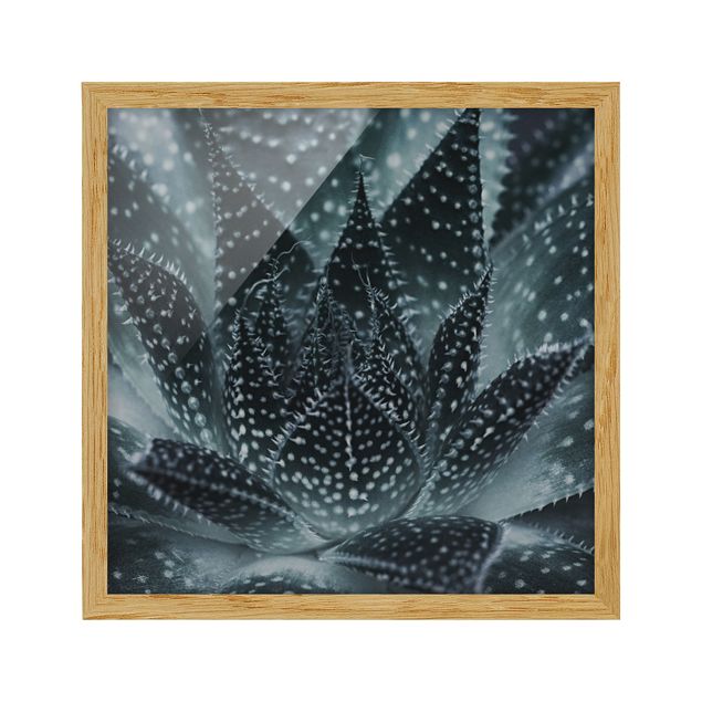 Bild mit Rahmen - Kaktus mit Sternpunkten bei Nacht - Quadrat