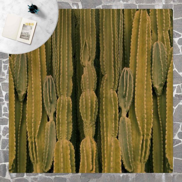 Teppich Dschungel Kaktus Wand