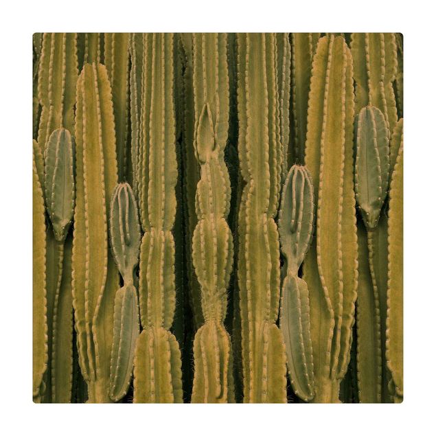 Kork-Teppich - Kaktus Wand - Quadrat 1:1
