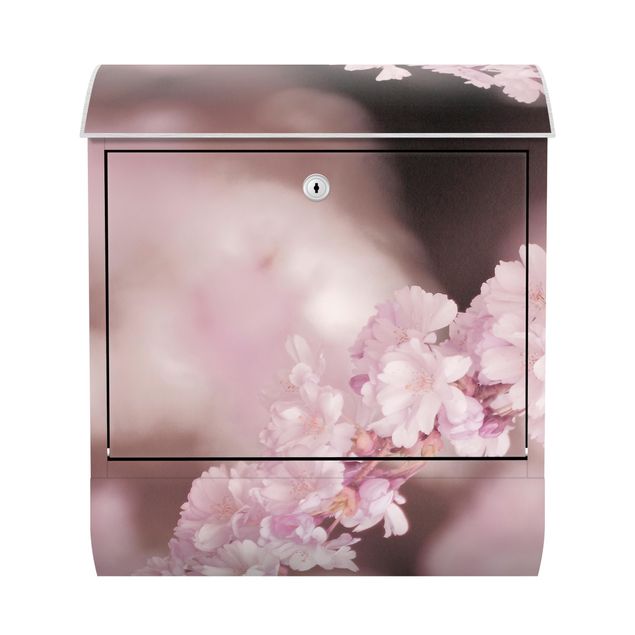 Briefkasten - Kirschblüte im Violetten Licht
