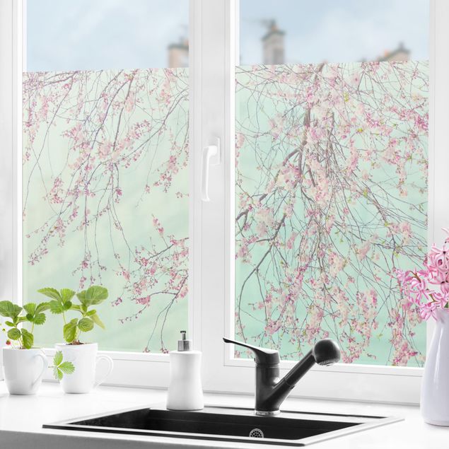 Fensterfolie - Sichtschutz - Kirschblütensehnsucht - Fensterbilder