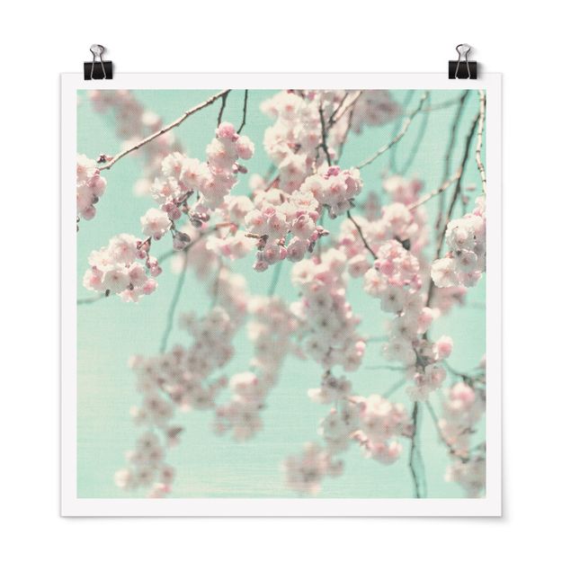 Poster - Kirschblütentanz auf Leinenstruktur - Quadrat 1:1