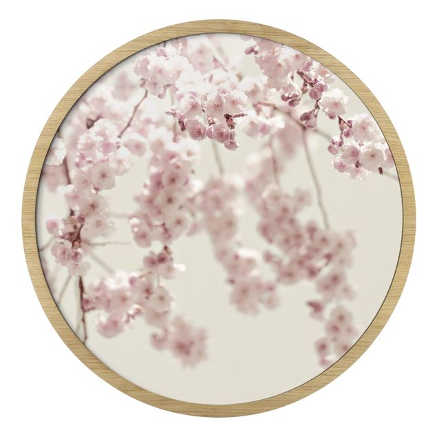 Rundes Gerahmtes Bild - Kirschblütentanz