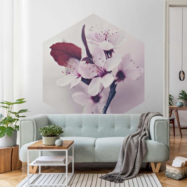 Hexagon Mustertapete selbstklebend - Kirschblütenzweig Altrosa