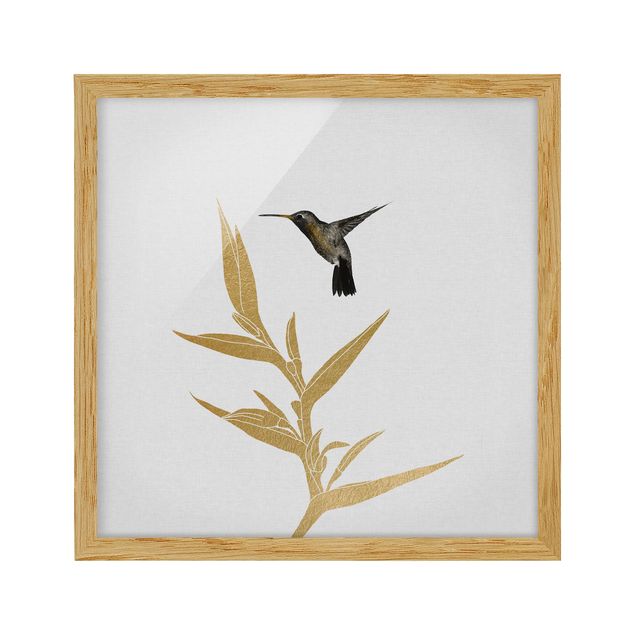 Bild mit Rahmen - Kolibri und tropische goldene Blüte II - Quadrat