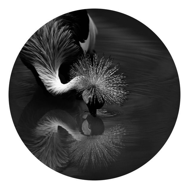 Runde Tapete selbstklebend - Kronenkranich Verbeugung Schwarz Weiß