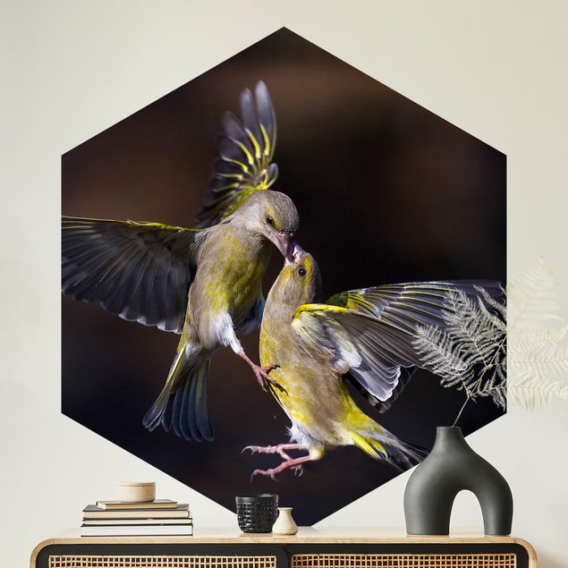 Hexagon Mustertapete selbstklebend - Küssende Kolibris
