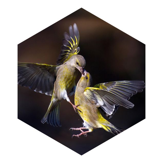 Hexagon Mustertapete selbstklebend - Küssende Kolibris