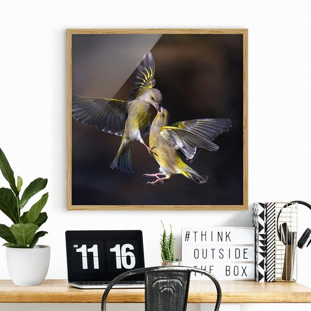 Bild mit Rahmen - Küssende Kolibris - Quadrat