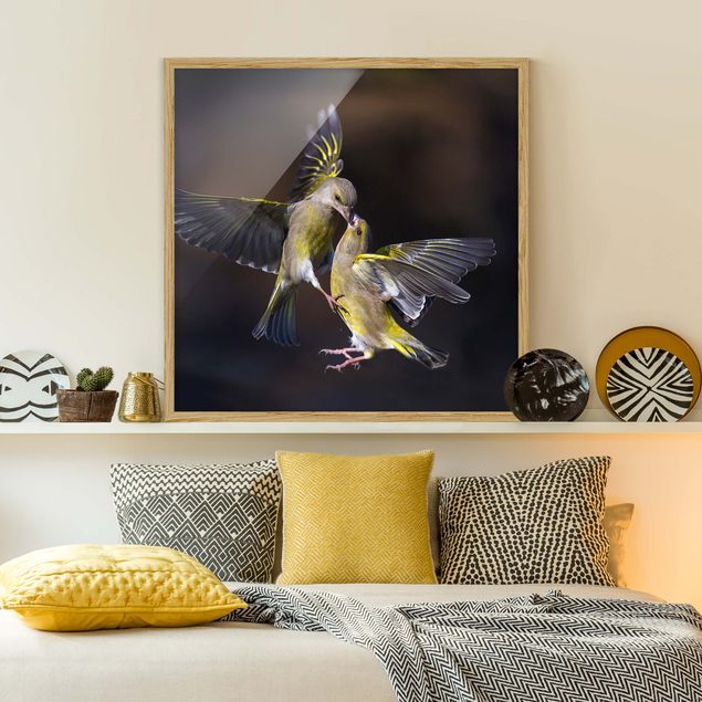 Bild mit Rahmen - Küssende Kolibris - Quadrat
