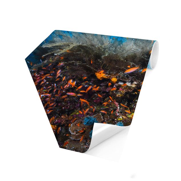 Hexagon Mustertapete selbstklebend - Lagune Unterwasser