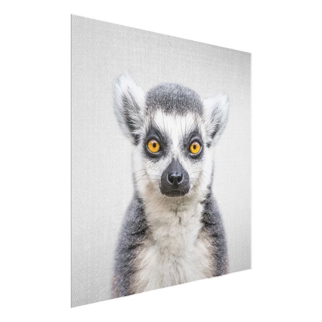 Glasbild - Lemur Ludwig - Quadrat