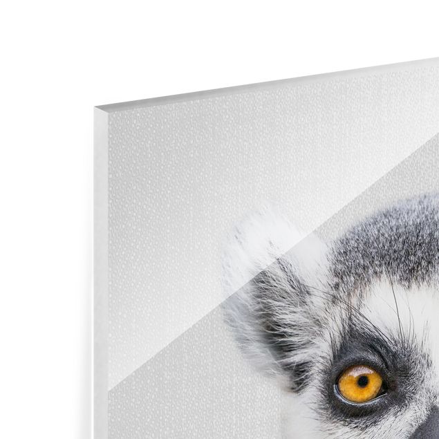 Glasbild - Lemur Ludwig - Quadrat