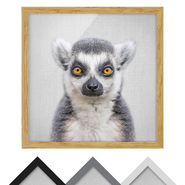 Bild mit Rahmen - Lemur Ludwig - Quadrat - 1:1