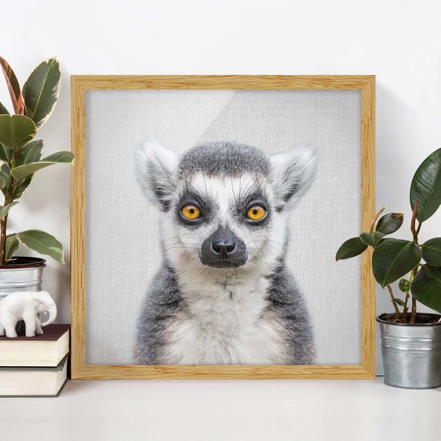 Bild mit Rahmen - Lemur Ludwig - Quadrat - 1:1