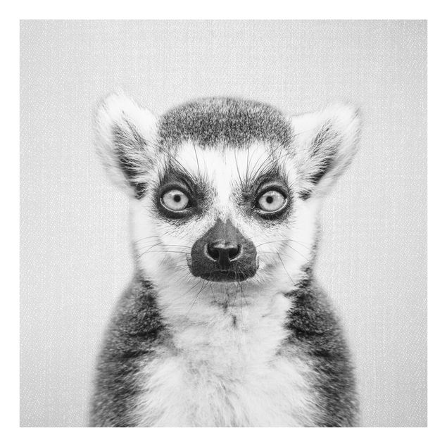 Glasbild - Lemur Ludwig Schwarz Weiß - Quadrat