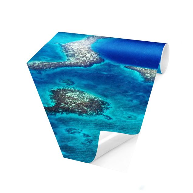 Hexagon Fototapete selbstklebend - Leuchtturmriff von Belize