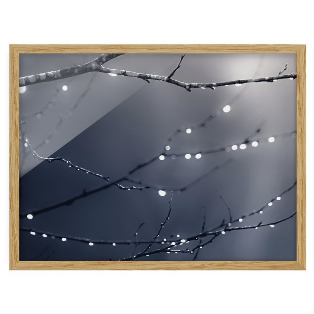 Bild mit Rahmen - Lichttropfen am Birkenzweig - Querformat