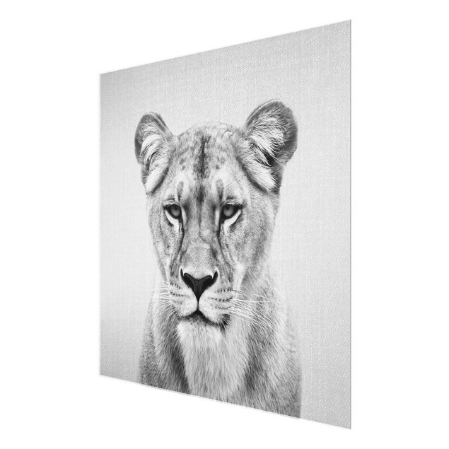 Glasbild - Löwin Lisa Schwarz Weiß - Quadrat