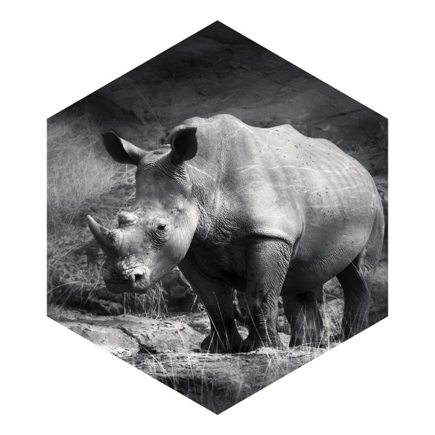 Hexagon Mustertapete selbstklebend - Lonesome Rhinoceros