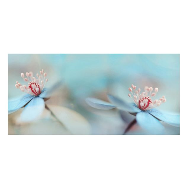 Magnettafel - Blüten in Hellblau - Memoboard Panorama Quer