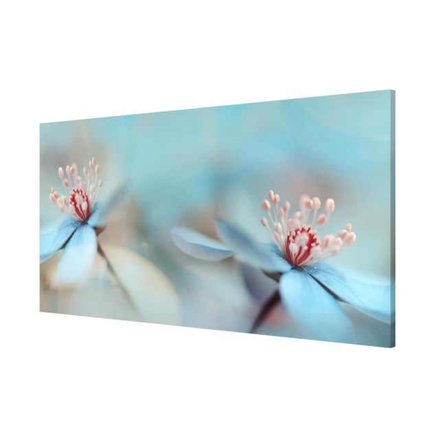 Magnettafel - Blüten in Hellblau - Memoboard Panorama Quer