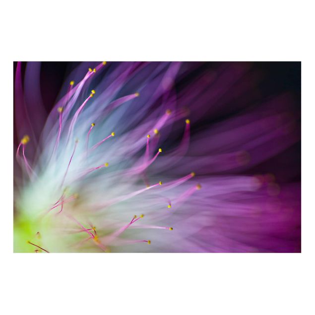 Magnettafel - Blütenstaub - Memoboard Quer