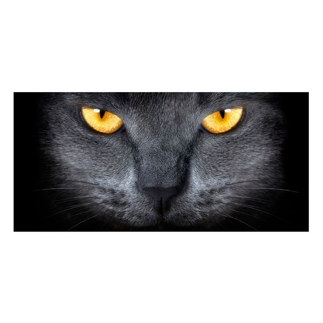 Magnettafel - Cats Gaze - Memoboard Panorama Quer