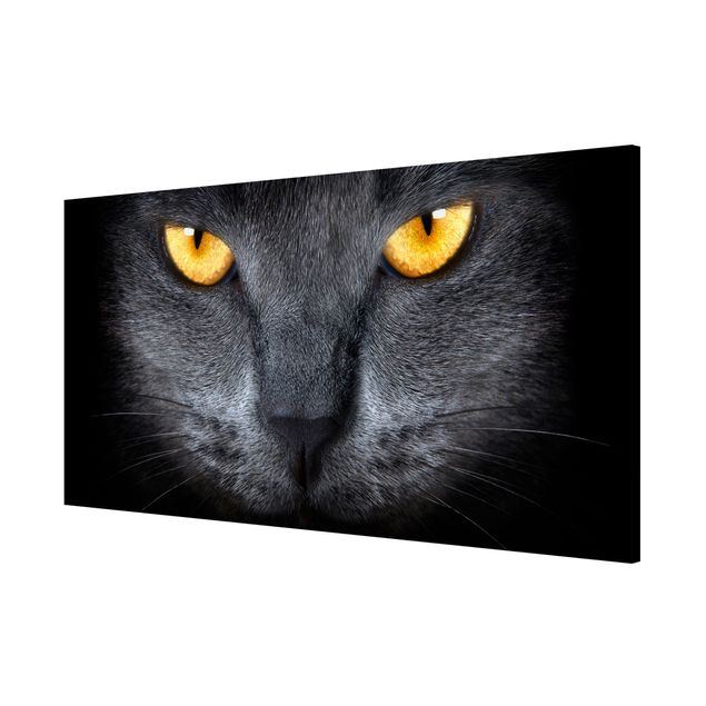 Magnettafel - Cats Gaze - Memoboard Panorama Quer