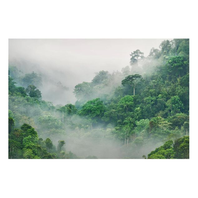 Magnettafel - Dschungel im Nebel - Memoboard Querformat