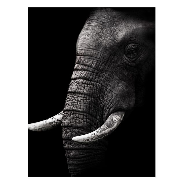 Magnettafel - Dunkles Elefanten Portrait - Memoboard Hochformat 4:3