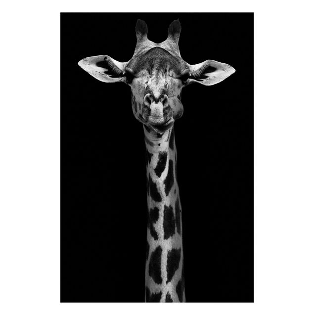 Magnettafel - Dunkles Giraffen Portrait - Memoboard Hochformat 3:2