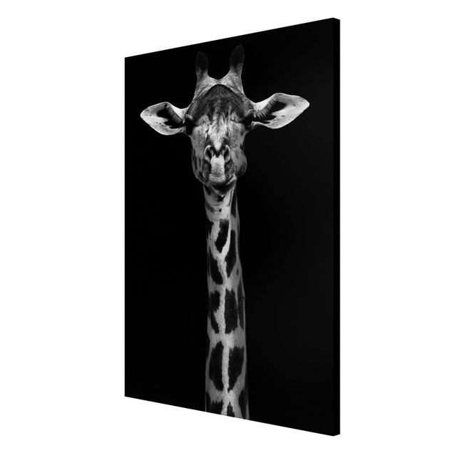 Magnettafel - Dunkles Giraffen Portrait - Memoboard Hochformat 3:2