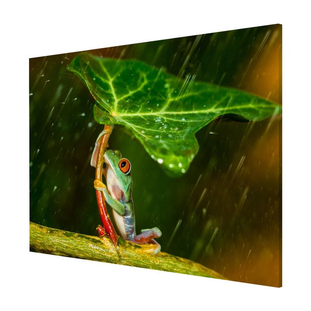 Magnettafel - Ein Frosch im Regen - Memoboard Querformat 3:4