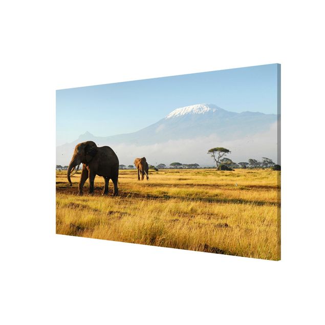 Magnettafel - Elefanten vor dem Kilimanjaro in Kenya - Memoboard Panorama Quer