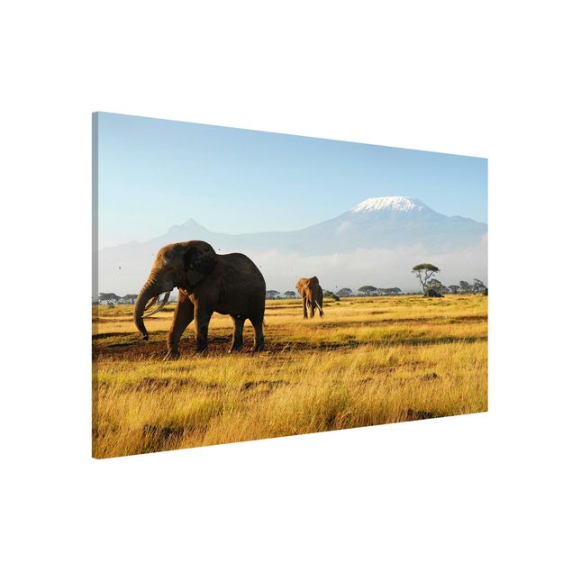 Magnettafel - Elefanten vor dem Kilimanjaro in Kenya - Memoboard Quer