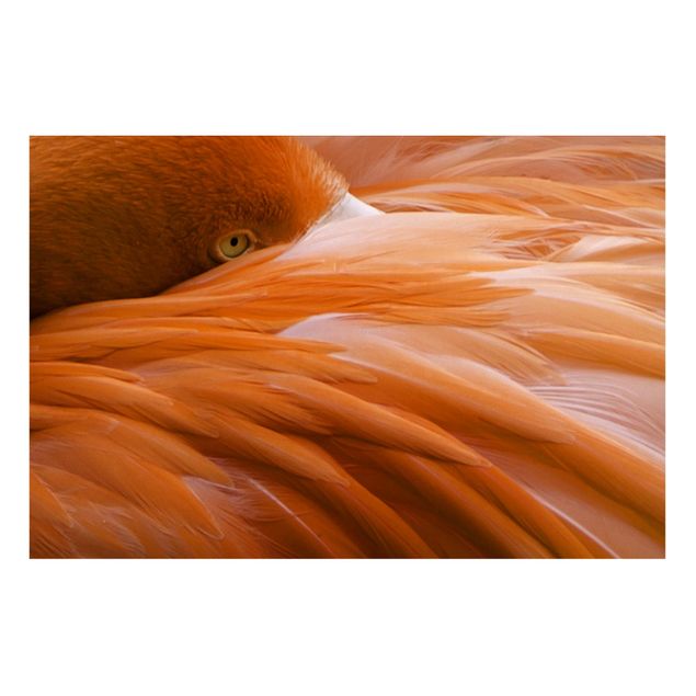 Magnettafel - Flamingofedern - Memoboard Quer