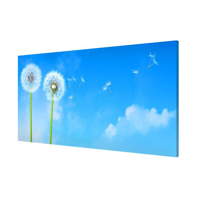 Magnettafel - Flying Seeds - Memoboard Panorama Quer