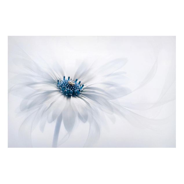 Magnettafel - Gänseblümchen in Blau - Memoboard Quer