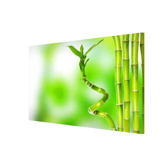 Magnettafel - Grüner Bambus - Memoboard Querformat