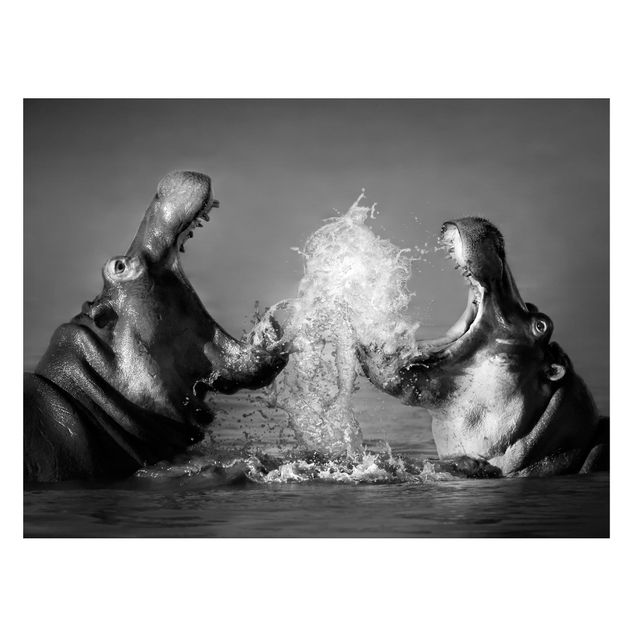 Magnettafel - Hippo Fight - Memoboard Quer